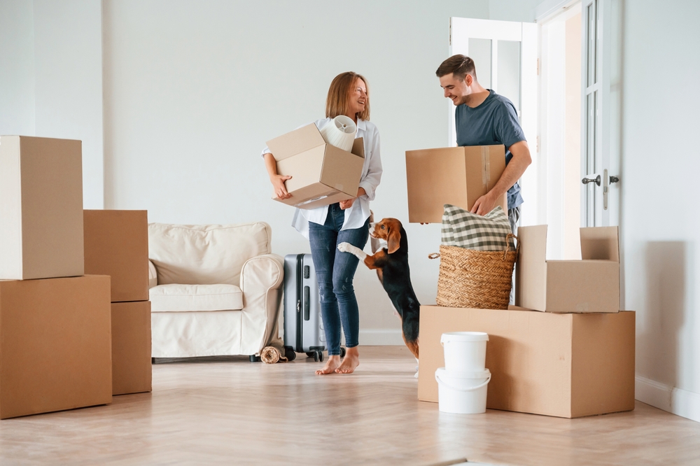 About Affordable Movers In Muscat 1