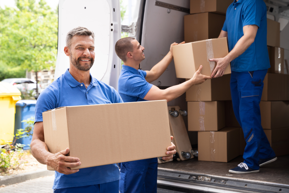 About Affordable Muscat Movers 1